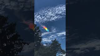 Fire Rainbows trending facts wonderful shorts [upl. by Nylegna]