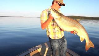 2011 Giant 35lb Lake Trout at Wollaston Lake Lodge [upl. by Lednahc]