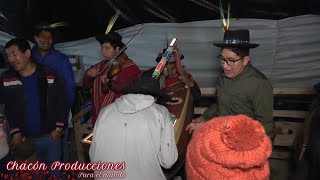 CHINITO AMOROSO DE CHACCRAMPA  TORIL CON ARPA Y VIOLÍN 🎻 [upl. by Range]