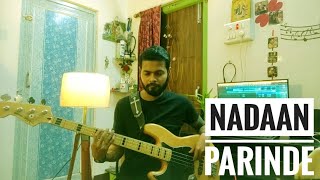 NADAAN PARINDEY BASS COVER [upl. by Anomar]