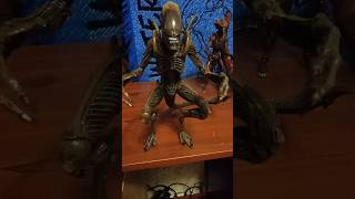 Neca Alien Resurrection Warrior [upl. by Pillyhp]