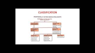 Skeletal Muscle Relaxants SMRs [upl. by Roche]