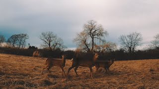 Pure michigan fpv freestyle [upl. by Aihsitan864]