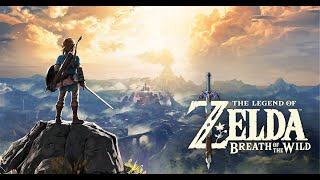 The Legend Of Zelda BOTW Full Game Walkthrough Part 14 [upl. by Annoel]