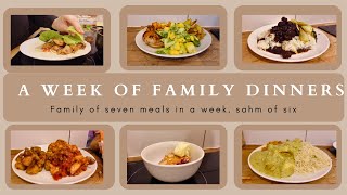 WEEK 52 FAMILY DINNERS OF THE WEEK  family of seven evening meal ideas meal plan🍝🥙 [upl. by Htims]