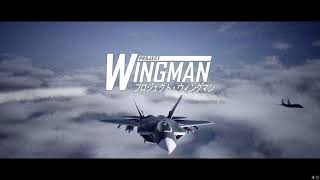 Project Wingman Mission 11  Showdown over the Bering Strait [upl. by Aleacin]