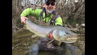 Big Marble Trout [upl. by Eelsha627]