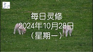 每日灵修2024年10月28日（星期一）腓立比书4章1至3节 English translation in description box [upl. by Franek]