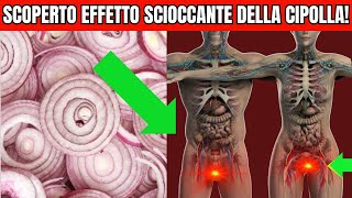 Una Sola CIPOLLA può Innescare una Reazione IRREVERSIBILE nel tuo Corpo [upl. by Anitniuq63]