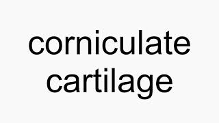 How to pronounce corniculate cartilage [upl. by Giulietta]