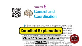 Control and Coordination Class 10 CBSE NCERT on Fire One Shot [upl. by Funch554]