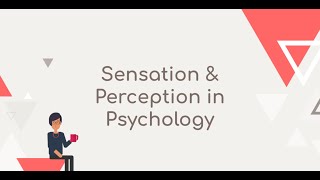 Sensation amp Perception in Psychology [upl. by Kurtz]