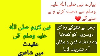 noor e muhumedsalam ya mustafadarood o salamnaat poetry [upl. by Ocirnor]