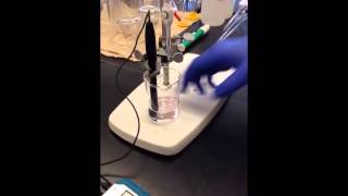 How to do a Weak AcidStrong Base Titration [upl. by Ernestus]