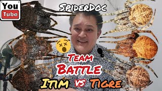 TEAM BATTLE TEAM ITIM vs TIGRE 3 ROUNDS Derby Rules Spider Fight Loaded Fight NAMELESS LOAD [upl. by Sprung]