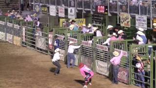 Ogden Utah Pioneer Days Rodeo Parade 2010 [upl. by Yrrol969]