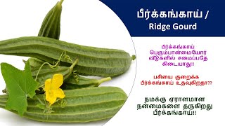 பீர்க்கங்காய் பயன்கள்  உணவுகள்  healthyfood peerkangai healthylife [upl. by Atorod]