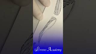 Applied Microblading Patterns 2 drawing makeup tutorial art microbladedbrows [upl. by Oakley]