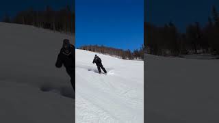 Worlds smallest skis link in bio snowboard ski skiing [upl. by Yrrep]