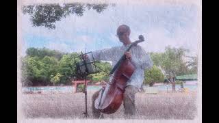 Londonderry Air Cello [upl. by Martres320]