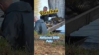 Vorschau  Abfischen 2024 Peitzer Teiche short [upl. by Aztiraj]