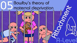 Bowlby’s theory of maternal deprivation  Attachment ALevel Psychology [upl. by Melas977]