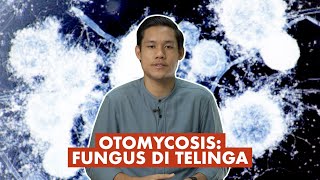 Otomycosis Fungus di Telinga [upl. by Kenyon]