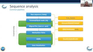 Webinar Epigenetics Part I – Bisulfite Sequence Analysis and Adenosine to Inosine Modifications [upl. by Renfred]