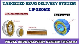 LIPOSOME  Targeted Drug Delivery System TDDS  Novel Drug Delivery System 7th semester [upl. by Nisa]