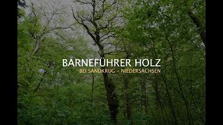 Barneführer Holz [upl. by Janina]