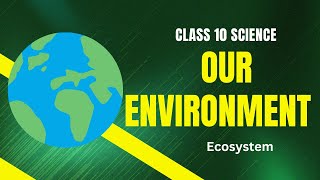 Our environment class 10 part1 ecosystem [upl. by Faline990]