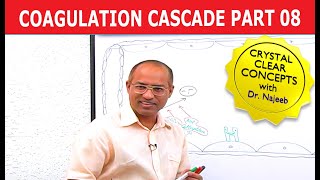 Coagulation Cascade  Part 812 [upl. by Redman]