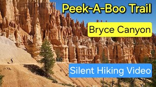 PeekABoo Hike Bryce Canyon National Park hiking hikingadventures nationpark [upl. by Loram830]