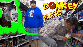 DONKEY FARTS 🐴🍩 Funny Wet Fart Prank 🤣 [upl. by Refitsirhc378]