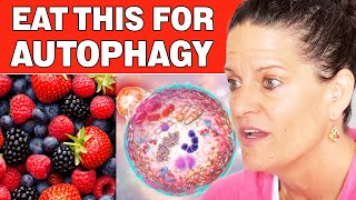 Foods That Promote Autophagy [upl. by Ressay386]