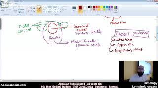 الحويصلات اللمفية Associated lymphoid tissues histology  عبد الله رضا MD  Rocademia روكاديميا [upl. by Noswad]