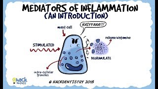 Mediators of Inflammation An Introduction [upl. by Bick]