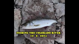 Fishing The Colorado River 1062024 [upl. by Staal564]