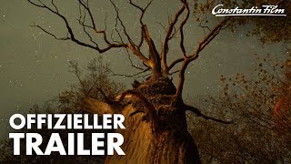 DAS GEHEIME LEBEN DER BÄUME I Offizieller Trailer [upl. by Anor249]