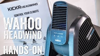 Wahoo Headwind Smart Fan Test Ride Details [upl. by Nnyleahs170]