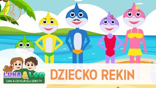 Dziecko rekin  Piosenka o rodzinie rekinów  Piosenka o rekinach  Rekiny  Baby shark po polsku [upl. by Wahl]