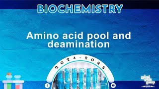 Rev of L27 Protein metabolism amino acid pool Oxidative deamination of amino acids Biochemistry [upl. by Lezlie508]