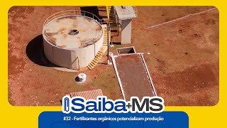 32  Fertilizantes orgânicos potencializam produção [upl. by Elvyn]