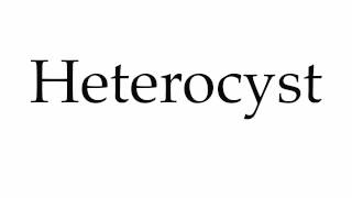 How to Pronounce Heterocyst [upl. by Jemmie]