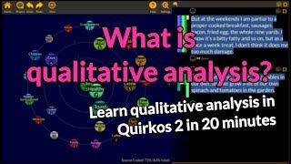 What is qualitative analysis Quirkos 2 in 20 minutes [upl. by Jecho]