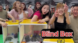 Blind box Gold  Take risk and get gold  Funny games [upl. by Kacie]