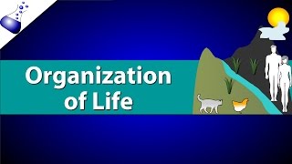 Organization of Life [upl. by Manning]