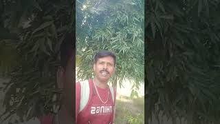 Charanon dhorite diyo go amare song bollywood [upl. by Eboh]