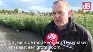 Vanuit Oene worden jaarlijks 80000 kerstbomen verscheept [upl. by Austen280]