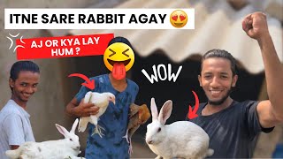 Aj Market Se Bohat Sare Rabbits Liye  A4 Animals  Or Kya Lay Hum [upl. by Yrocal59]